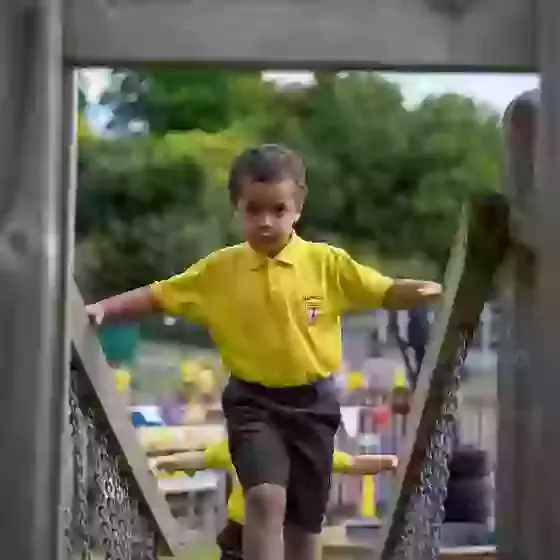 Schools